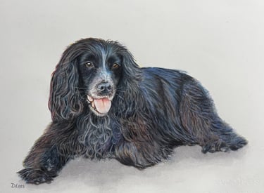 Water colour of a black spaniel dog lying down