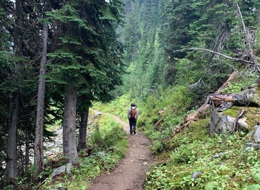 man walking away on a trail in a forest