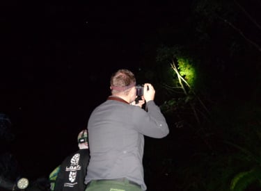 a man taking a picture of a wildlife on a tree