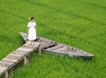 photo of a girl in white dress in a rice paddy field vietnam