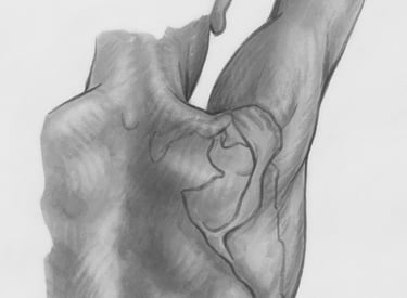 back shoulder grey drawing