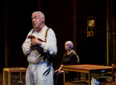 El coronel no tiene quien le escriba teatro, Teatro en Bogota, El coronel no tiene quien le escriba