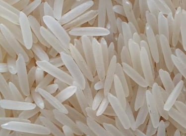Rice Exporters Of Pakistan