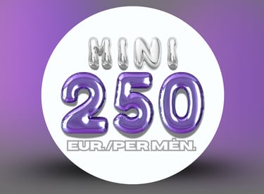 Socialinių tinklų paslaugų planai – MINI planas.