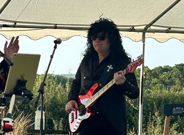 Bass player of Heart