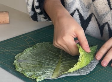 coupelle chou argile autodurcissante diy
