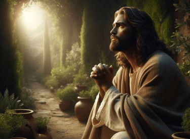 Embracing Calmness