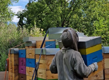 apiculteur et ruches. parrainage de ruches