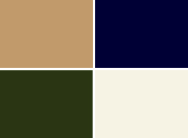 a color palette of different colors and textures of a color scheme