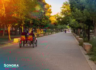 Relax by visiting Hermosillo's historic parks.