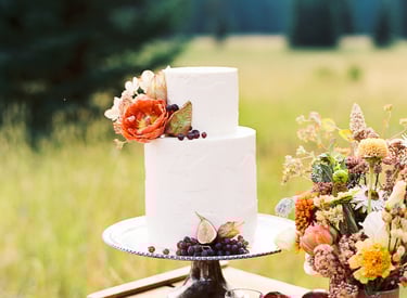 Minimalist white wedding cake for an outdoor elopement in Bozeman Montana