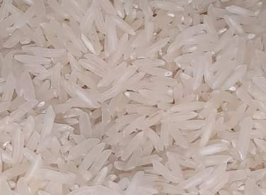 Rice Exporters Of Pakistan