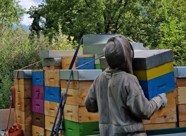 apiculteur avec ruches, parrainage de ruches