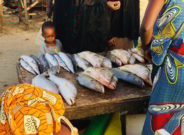 a child stands in front of a table full of fish