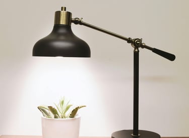 A Lamp shining on a plant