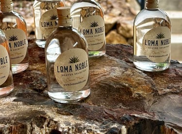 a group of bottles of liquor in a tree stump