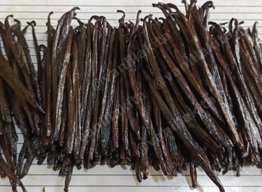 Vanilla beans on measurement