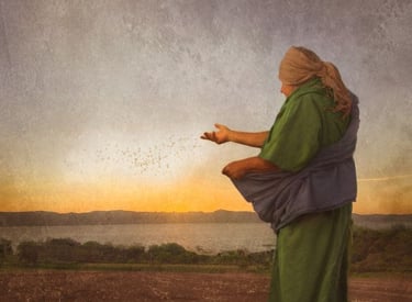 Sowing in Hope - Galatians 6:9