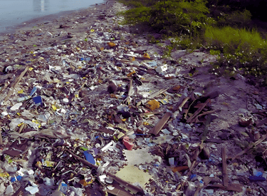 a picture of a pile of garbage on a beach