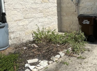 Wooden Pallets After Razorbill Junk Removal In 1604