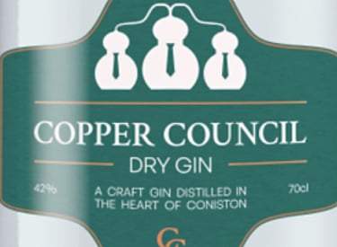 Close up of Copper Council gin bottle on light green background
