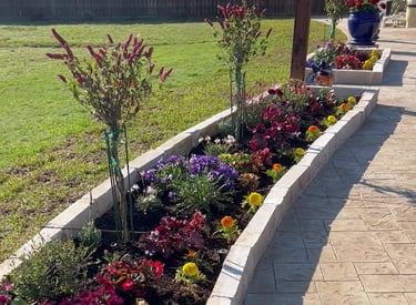 Flower Bed with Sidewalk