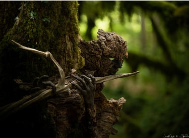 Masque d’écorce jouant de la flûte photographié en forêt, œuvre de Samuel Chazot