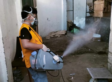 Professional pest control technician wearing a respirator and safety vest while fogging an outdoor area.
