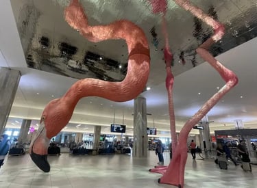 Tampa international airport