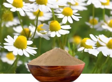 Ozem Patches Ingredient Chamomile Flower Extract