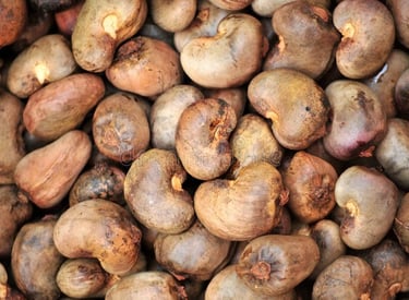 raw cashew nuts 
