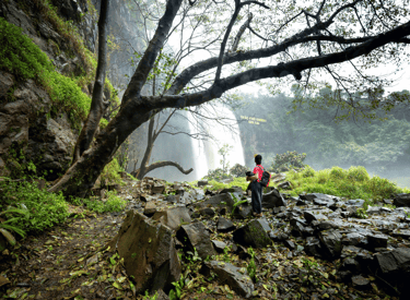 what-is-grounding-visit-nature-inner-energy-harmony