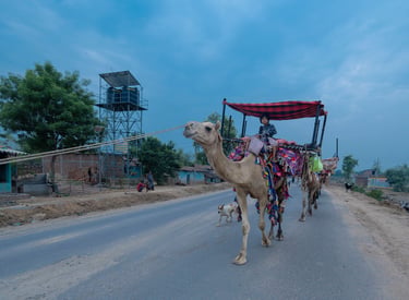 Rabari nomads from Kutch Gujarat India