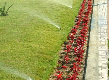 تنسيق المواقع و الزراعة