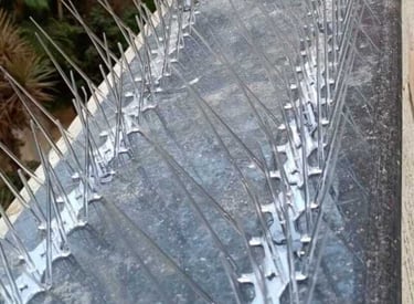 Spikes placed along a balcony railing in Sarjapur.