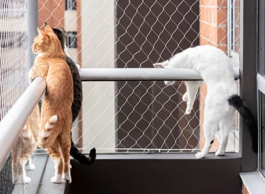 Close-up of a sturdy cat safety net securely fitted on a balcony.