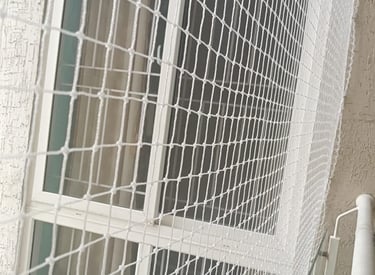 Wide shot of a residential building with pigeon nets installed on windows.