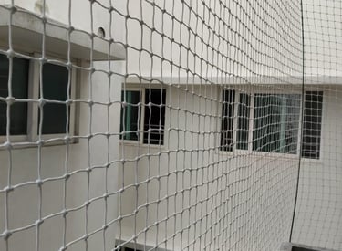Wide shot of a building facade covered with pigeon nets under bright sunlight Chennai
