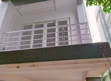 Wide shot of a commercial building in Thoraipakkam fitted with anti-pigeon nets around the rooftop.