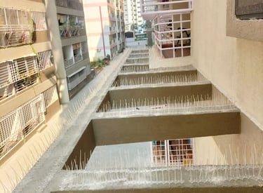 bird spikes installation in Kolathur , Chennai