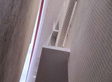 Window framed by a fine mesh net, keeping pigeons out while letting light in.