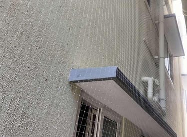 Window fitted with a fine mesh pigeon net overlooking a serene neighborhood in Bangalore.