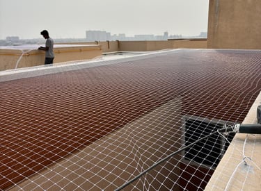 Wide shot of a building terrace covered with fine pigeon netting.
