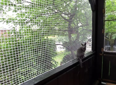Pet safety net installed around a staircase to keep pets safe indoors.