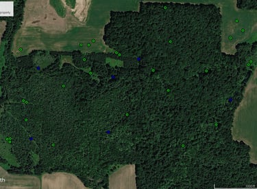 Aerial Google Earth satellite map of a forest property showing marked deer locations.