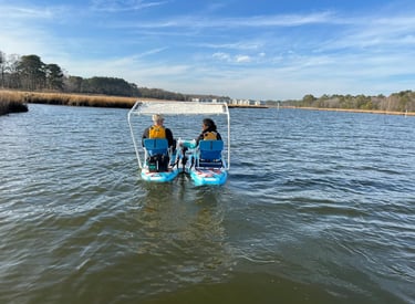 Electric Paddle board Catamaran