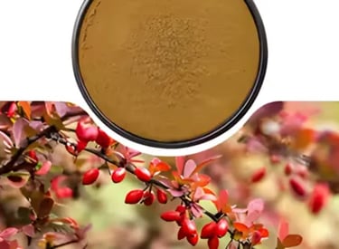 Nuvia Fat Burner Ingredient Barberry Fruit Extract