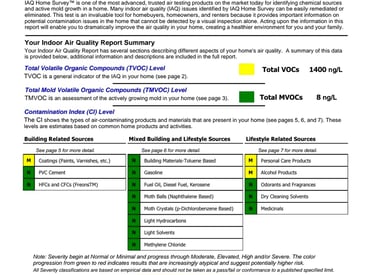 Detailed laboratory report showing VOC and chemical levels.