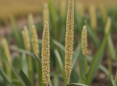 photo of white staircase