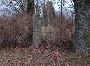 Tautkunu kaimo sankryzos kryzius